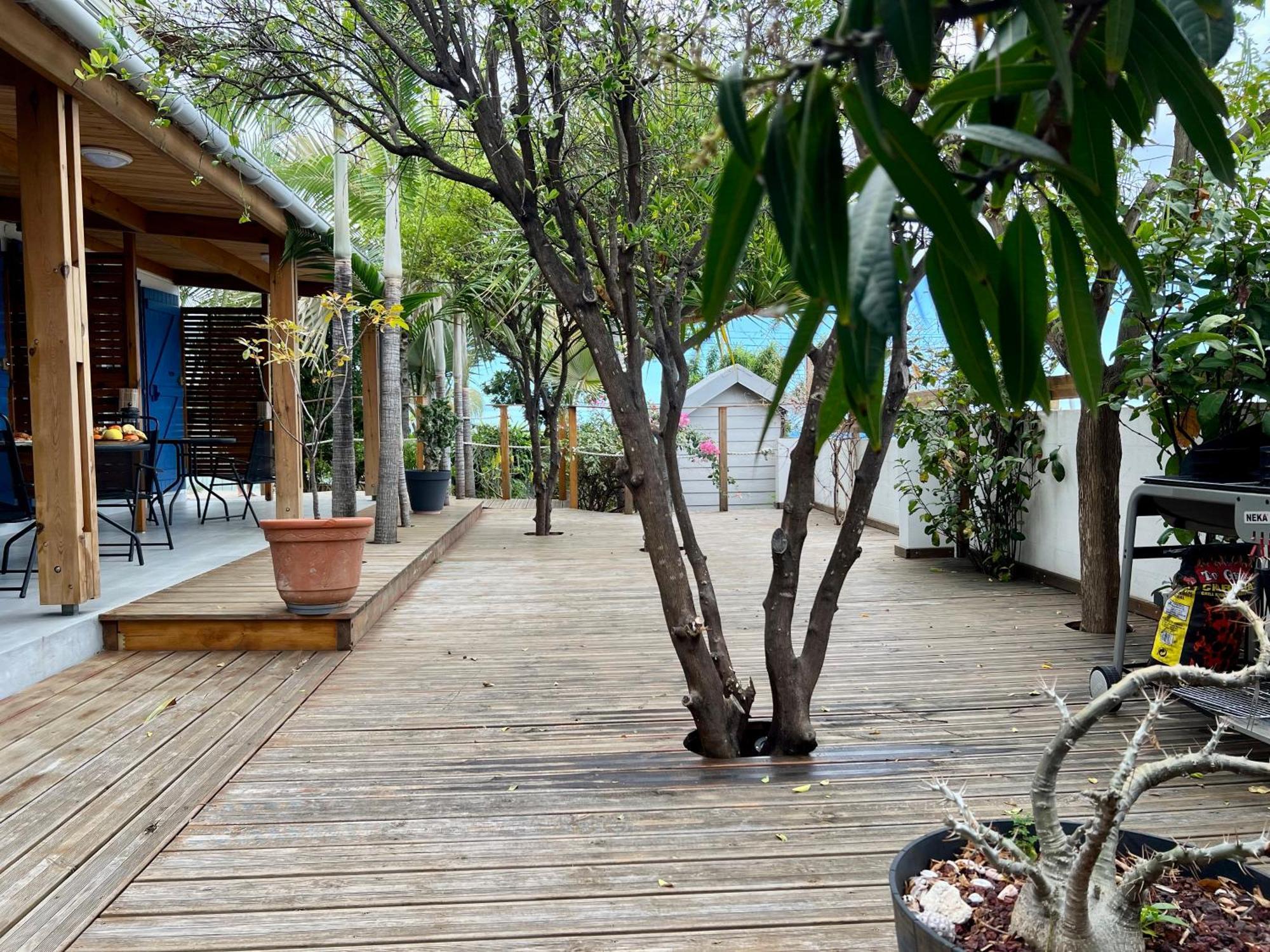 La Tanguiere - Studios 3 Etoiles Saint-Leu Dış mekan fotoğraf